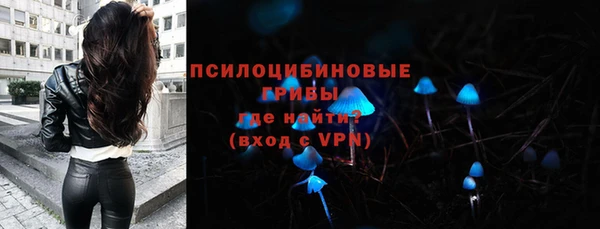 бошки Нягань