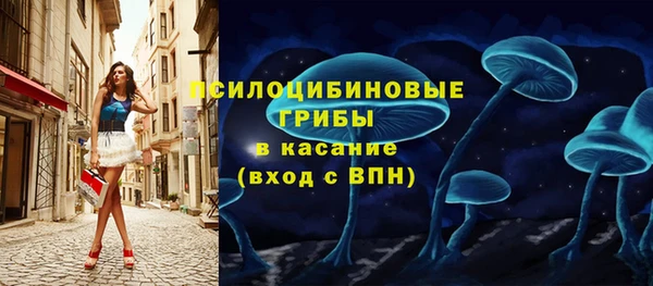 бошки Нягань