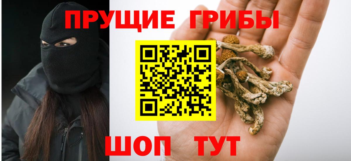 Гашиш Кузнецк