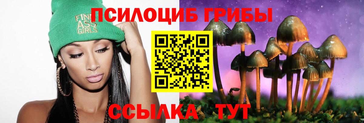 Псилоцибиновые грибы Psilocybine cubensis Кузнецк