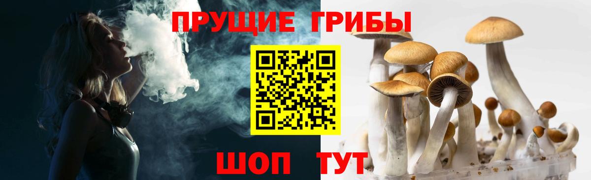 Кузнецк  Псилоцибиновые грибы мухоморы  Вход с VPN 