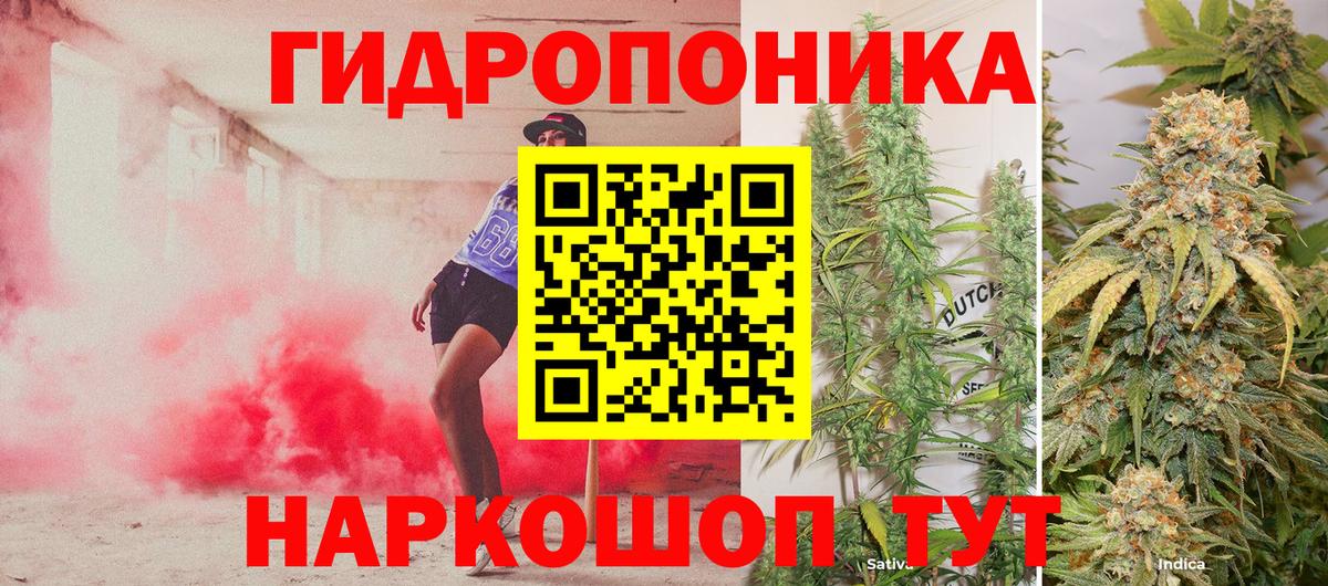 Бошки марихуана MAZAR  Вход с VPN  Канабис семена  Шишки марихуана марихуана  Кузнецк  Конопля семена 